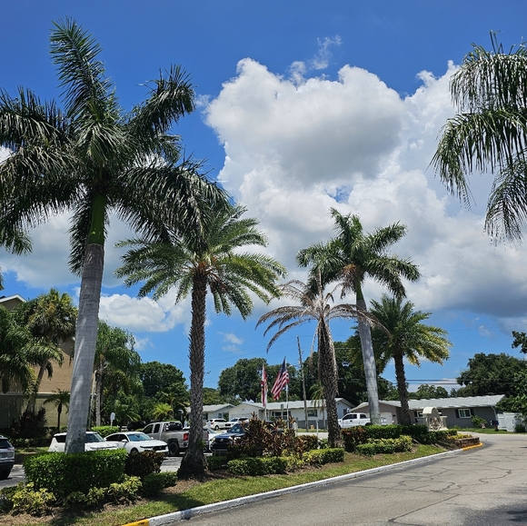 Meet your Posher, Ory - Picture 4 of 4